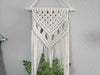 Macrame plant hanger DIY craft kit.